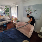 Proffesional Upholstery Cleaning