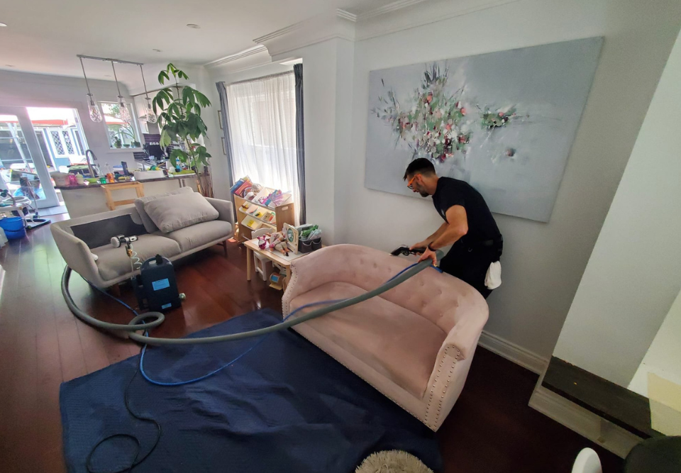 Proffesional Upholstery Cleaning