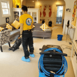 Professional Carpet Cleaning Toronto