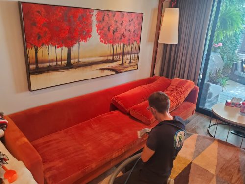 velvet sofa professional cleaning Toronto