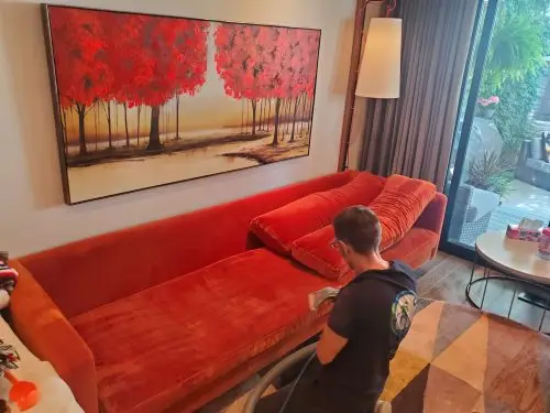 velvet sofa professional cleaning Toronto