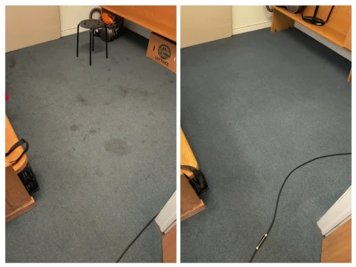 Before after carpet cleaning Oakville 