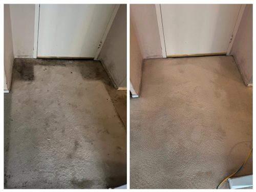 Before after professional carpet cleaning York