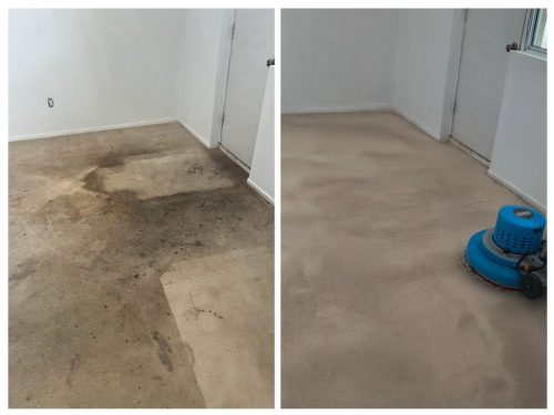 Before after trusted professional  carpet cleaning North York