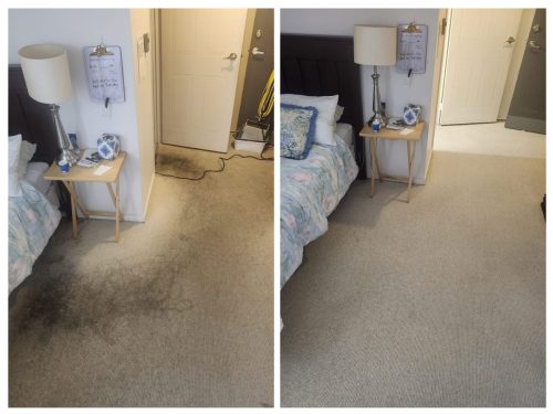 Before after carpet cleaning East York