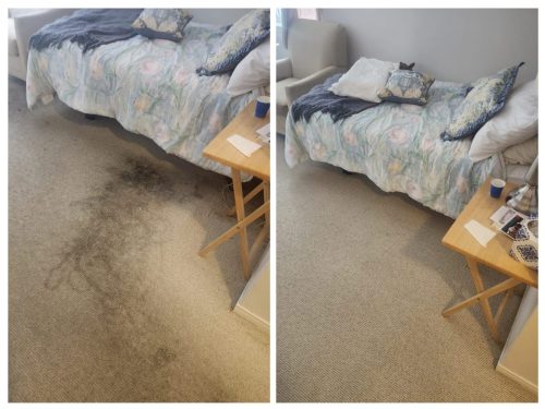 Before after carpet cleaning East York