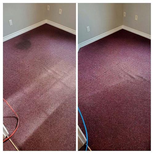 Carpet-Cleaning-Dark-Cleaning-1