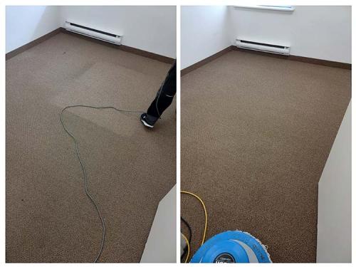 Carpet-Cleaning-Dark-Cleaning-13