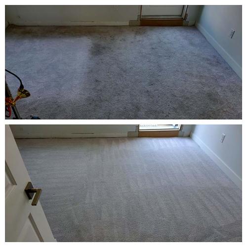 Carpet-Cleaning-Dark-Cleaning-15