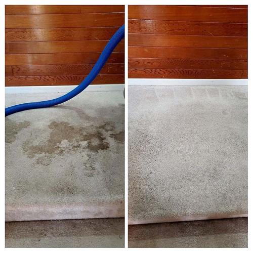 Carpet-Cleaning-Dark-Cleaning-2