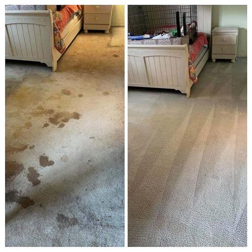 Carpet-Cleaning-Dark-Cleaning-3
