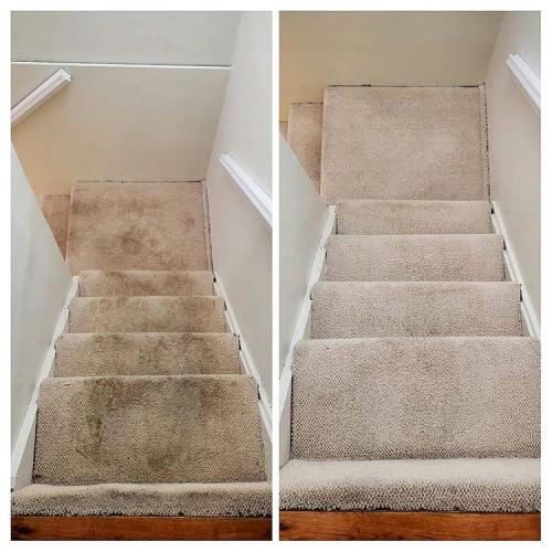 Carpet-Cleaning-Dark-Cleaning-4