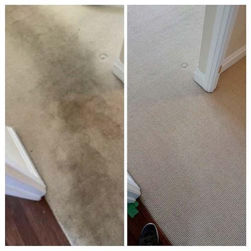 Carpet-Cleaning-Dark-Cleaning-5