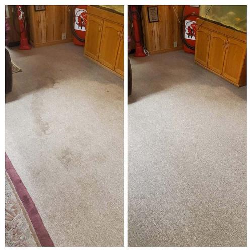 Carpet-Cleaning-Dark-Cleaning-6