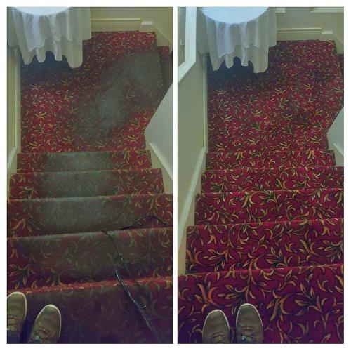 Carpet-Cleaning-Dark-Cleaning-8